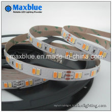 DC24V 112ledsm Dual White SMD5630 LED Strip Light